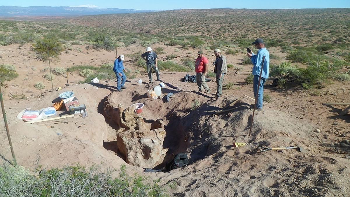 Hallaron un nuevo dinosaurio saurópodo titanosaurio en Neuquén