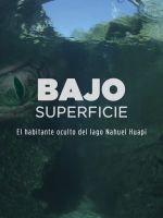 "BAJO SUPERFICIE", el film documental que se sumerge en el secreto mejor guardado del Nahuel Huapi