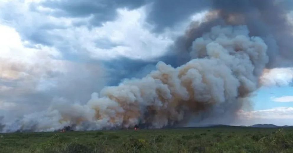 Cinco brigadistas del Parque Nacional Lanín ayudan a combatir un incendio en La Pampa
