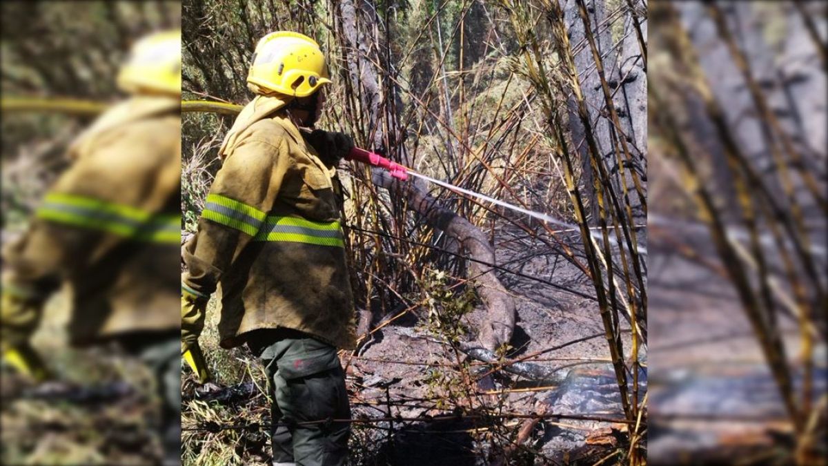 Incendio forestal en Lago Hermoso consumió cuatro hectáreas