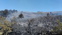 Se produjeron 64 incendios en Neuquén desde el comienzo de la temporada de verano 2024