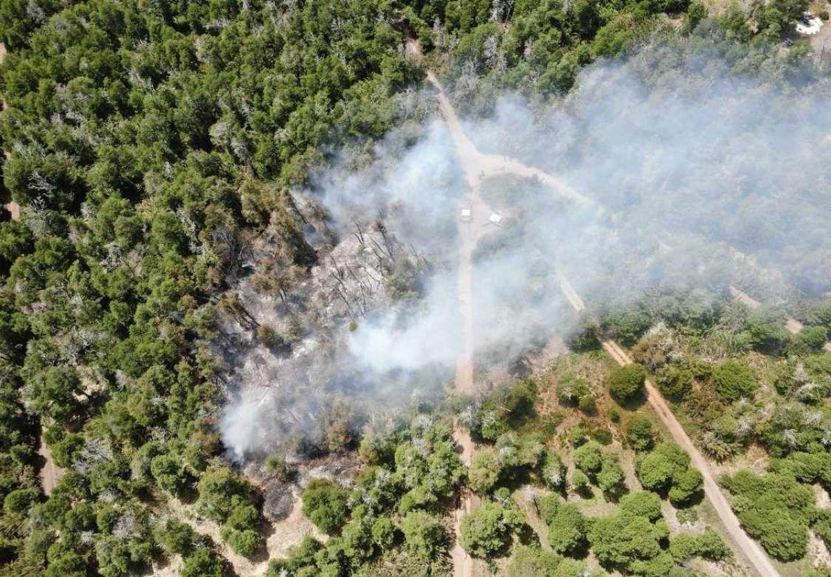 El Parque Nacional Lanín inició acciones legales por el incendio en Lago Hermoso