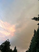 Cambió el viento y el humo del incendio en Los Alerces cubrió el cielo de Bariloche