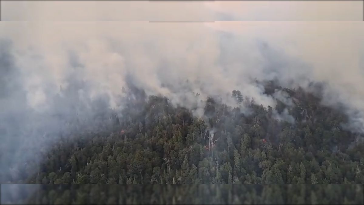 Se incendia bosque nativo en el Parque Nacional Nahuel Huapi