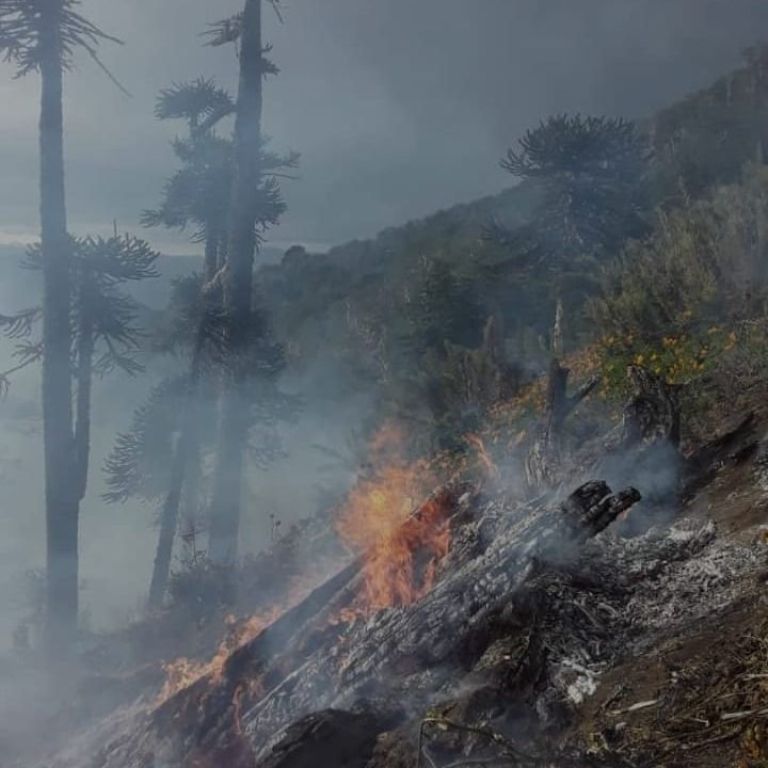 Continúa un foco de incendio activo en la zona norte del Parque Nacional Lanín
