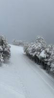 Hoy abre la temporada de nieve en Neuquén