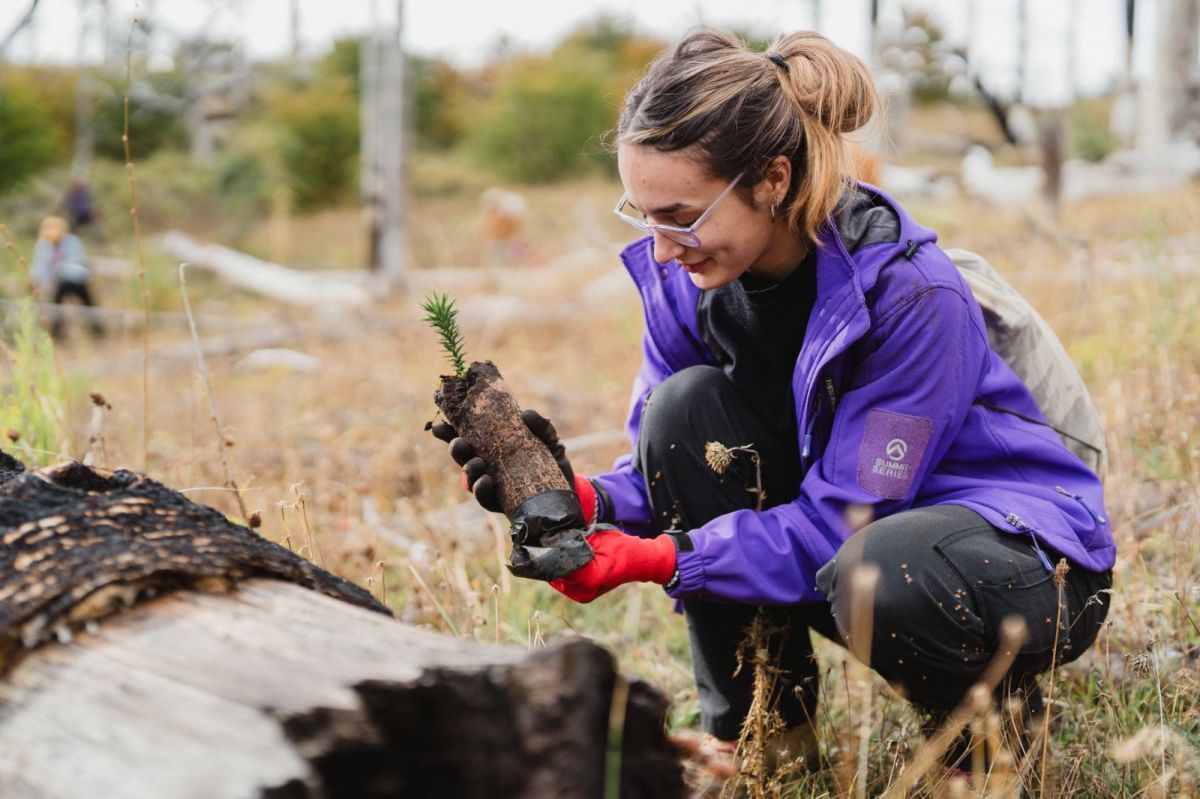 Más de 5000 árboles plantados para restaurar un bosque incendiado en la Patagonia