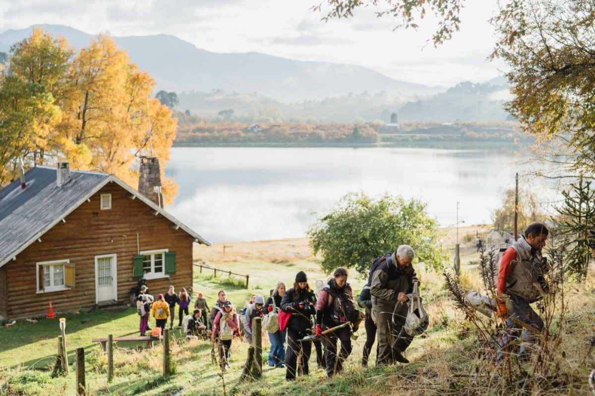 Más de 5000 árboles plantados para restaurar un bosque incendiado en la Patagonia