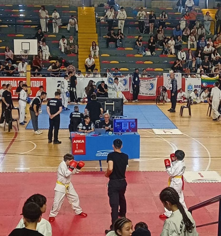 Destacada participación de la delegación de Taekwon-Do en el Campeonato Provincial de Mendoza