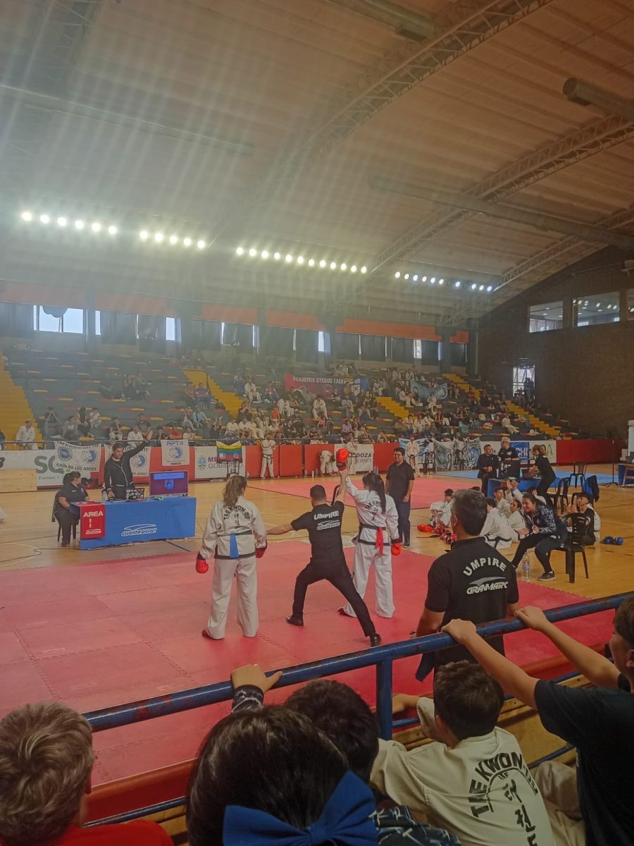 Destacada participación de la delegación de Taekwon-Do en el Campeonato Provincial de Mendoza