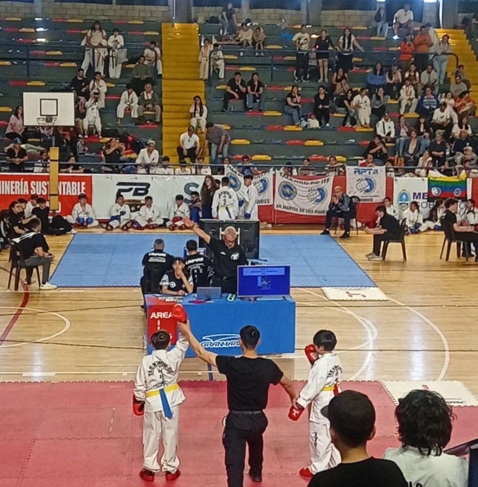 Destacada participación de la delegación de Taekwon-Do en el Campeonato Provincial de Mendoza