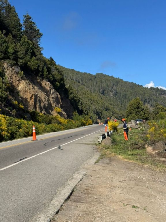Vialidad Nacional realiza tareas de limpieza y desmalezado en el Camino ...