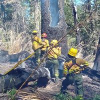 El rápido accionar de los brigadistas logró extinguir el fuego