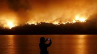Incendios devastadores arrasaron la mitad del sector público del Parque Nacional Los Alerces