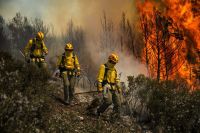 Junín de los Andes será sede del Congreso Internacional “Patagonia, más allá del fuego”