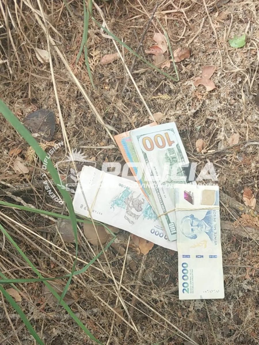 Un ladrón con pedido de captura fue detenido tras robarle a turistas en El Oasis