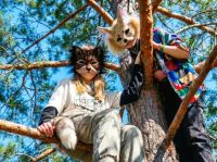 ¿Qué son los Therians? Una mirada profesional sobre el fenómeno de identificación que crece en las redes