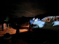 Decomisaron 46 truchas y labraron 20 infracciones en un operativo de control en Alicurá