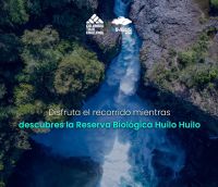 Huilo Huilo presentó en San Martín de los Andes el Columbia Trail Challenge 2026: la carrera que recorre la selva patagónica