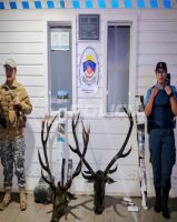 Allanamiento en Meliquina: secuestran armas y elementos por caza ilegal