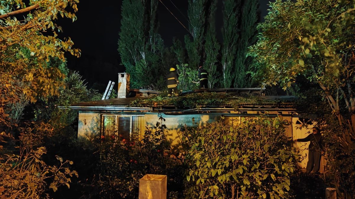 Un álamo de 30 metros cayó sobre una vivienda por los fuertes vientos