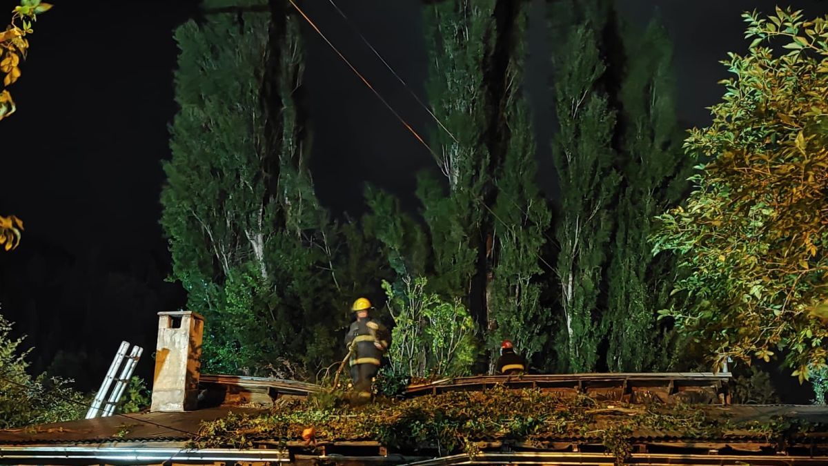 Un álamo de 30 metros cayó sobre una vivienda por los fuertes vientos