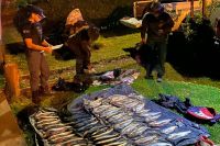 Secuestran más de 50 truchas en un operativo sobre la Ruta Nacional 237