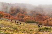 El Patagonia Run generó un fuerte movimiento turístico y económico en San Martín de los Andes