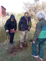 Plantaron más de 90 árboles nativos en barrios de Cordones del Chapelco