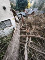 Un temporal de viento provocó caídas de árboles y voladuras de techos en San Martín de los Andes