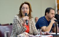 Presentan proyecto para limitar honorarios de abogados en ejecuciones de deuda del Estado