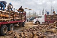 El Plan Calor ya alcanza al 70% de ejecución y acompaña a miles de familias neuquinas