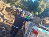 El Municipio puso en marcha la distribución de leña para familias vulnerables