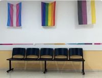 Polémica por banderas de diversidad en el Hospital Ramón Carrillo: cruce entre Nadia Márquez y trabajadores de la salud