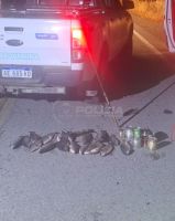 Detectaron 11 infracciones por pesca nocturna y secuestraron 18 truchas en rutas del sur neuquino