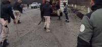 Comenzaron los secuestros de animales sueltos en la Ruta de los Siete Lagos