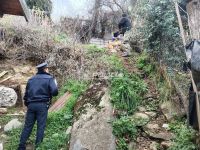 Rescataron a un perro en presunta situación de maltrato tras un allanamiento