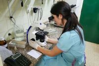 El laboratorio neuquino que analiza ADN y garantiza el derecho a la identidad