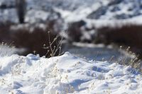 Se esperan intensas nevadas y fuertes vientos durante el fin de semana