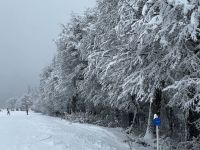 Emiten alertas por nevadas, lluvias, viento y Zonda para la cordillera neuquina