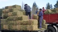 La Provincia reforzó la asistencia a productores con los Fondos Rotatorios