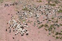 Neuquén prorrogó por 180 días la Emergencia Hídrica, Social y Productiva