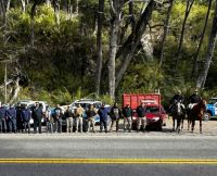 Capturaron cuatro caballos y un vacuno durante un operativo en la Ruta 40