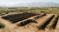  Impulsan un programa de compostaje con restos de madera y residuos de plantas de tratamiento