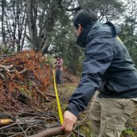 Advierten sobre el riesgo de arrojar residuos forestales en Villa Lago Meliquina