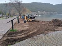 Realizaron tareas de limpieza en la playa del centro del lago Lácar