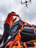 Impulsan la restauración de 200 hectáreas de bosque de pehuenes afectadas por incendios en Ñorquinco